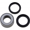WHEEL BEARING AND SEAL KIT