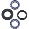 WHEEL BEARING AND SEAL KIT