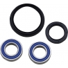 WHEEL BEARING AND SEAL KIT