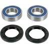 WHEEL BEARING AND SEAL KIT