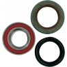 WHEEL BEARING AND SEAL KIT