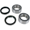 WHEEL BEARING AND SEAL KIT
