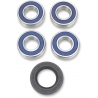 WHEEL BEARING AND SEAL KIT