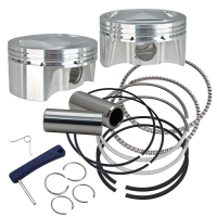 PISTON SET 100" 0.927" WP