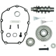 CAMSHAFT KIT 465G GEAR DRIVE