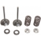 INTAKE VALVE KIT STAINLESS STEEL