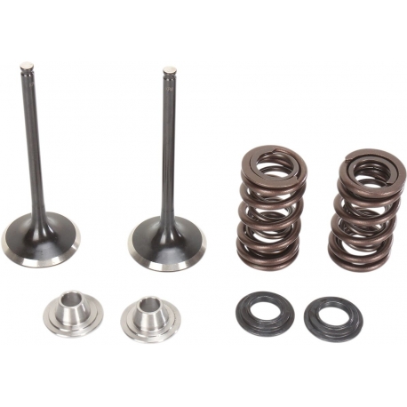 VALVE KIT INTAKE STAINLESS STEEL