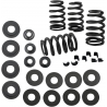 0.585" Valve Spring Kit