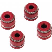 VALVE STEM SEAL KIT INTAKE & EXHAUST VITON®/PTFE