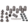 SPRING KIT VALVE HEAVY DUTY M8 ENGINES