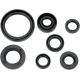 OIL SEAL SET OFFROAD