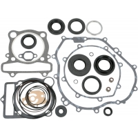 COMPLETE GASKET SET WITH OIL SEALS ATV-UTV