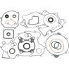 COMPLETE GASKET SET WITH OIL SEALS OFFROAD