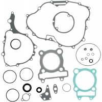 COMPLETE GASKET SET WITH OIL SEALS ATV-UTV