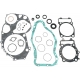 COMPLETE GASKET SET WITH OIL SEALS ATV-UTV