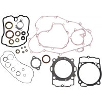 COMPLETE GASKET SET WITH OIL SEALS