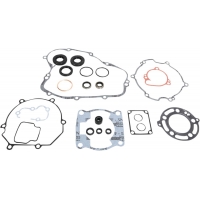 COMPLETE GASKET SET WITH OIL SEALS