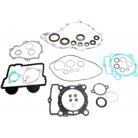 COMPLETE GASKET SET WITH OIL SEALS