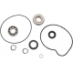 WATER PUMP REBUILD KIT