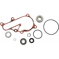 WATER PUMP REBUILD KIT