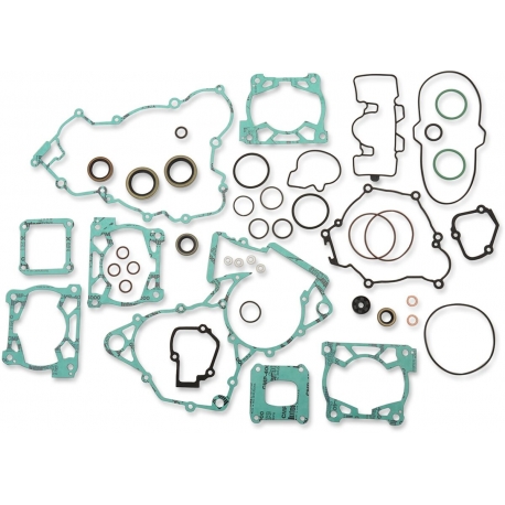 COMPLETE GASKET SET WITH OIL SEALS