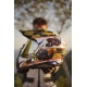 Cardo intercom Packtalk Edge Honda Single