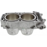 CYLINDER WORKS CYLINDER POLARIS ACE 900 EPS '17-'19 , RANGER 900 XP/CREW RZR 900 '17-'20, RANGER 1000 XP '20 STANDARD (93,00 MM)