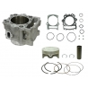 BRONCO CYLINDER KOMPLETNY YAMAHA YFM 700 RAPTOR 15-19 STD 102MM (20004-K02) - ZASTĄPIONY PRZEZ CA-40001K1