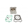 ATHENA CYLINDER STD + USZCZELKI TOP-END YAMAHA YZF 250 '01-'13, WRF 250 '01-'12