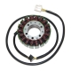 ELECTROSPORT UZWOJENIE ALTERNATORA (STATOR) DUCATI ST2/ST3/ST4, MONSTER S4