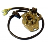 ELECTREX UZWOJENIE ALTERNATORA STATOR HONDA CR 250 '97-'98