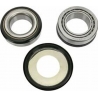 PIVOT WORKS ŁOŻYSKA GŁÓWKI RAMY YAMAHA YZ 125 '96-99,YZ 250 '96-99,YZF 400 '98-99,WR 400F '98-99