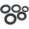 WINDEROSA (VERTEX) KOMPLET (ZESTAW) USZCZELNIACZY SILNIKOWYCH HONDA CRF450R 02-06