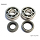 BEARING WORX ŁOŻYSKA WAŁU KORBOWEGO Z USZCZELNIACZAMI YAMAHA YZ 125 86-00 (NTN) (MADE IN JAPAN) (24-1024)