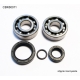 BEARING WORX ŁOŻYSKA WAŁU KORBOWEGO KTM SX 50 10-12, SX50 MINI 09-15 (NTN) (MADE IN JAPAN) (24-1099)