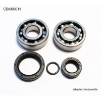 BEARING WORX ŁOŻYSKA WAŁU KORBOWEGO KTM SX 50 10-12, SX50 MINI 09-15 (NTN) (MADE IN JAPAN) (24-1099)