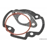 PARMAKIT KOMPLET USZCZELEK TOP-END DERBI SKUTER DO CYLINDRA 70CM3