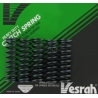 VESRAH SPRĘŻYNY SPRZĘGŁOWE KAWASAKI ZR7S 01-05, Z750S 06-10, KFX 450R 08-09 (5SZT.) (MADE IN JAPAN)