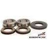 BEARING WORX ŁOŻYSKA GŁÓWKI RAMY Z USZCZELNIACZAMI SUZUKI RM 125 05-08, RM 250 05-08, RMZ 450 05-07 (22-1048)