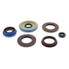 WINDEROSA (VERTEX) KOMPLET (ZESTAW) USZCZELNIACZY SILNIKOWYCH POLARIS RANGER 900 CREW '13-15, RZR 4 XP 900 12-14, RZR XP 1000 14