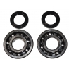 BEARING WORX ŁOŻYSKA WAŁU KORBOWEGO KAWASAKI KDX 200 '91-'06, KDX 220 '97-'05 (NTN) (MADE IN JAPAN) (24-1045)