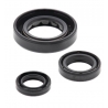 WINDEROSA (VERTEX) KOMPLET (ZESTAW) USZCZELNIACZY SILNIKOWYCH HONDA CRF150F 06-17