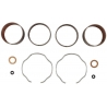 ALL BALLS ZESTAW TULEJEK (PANEWEK) ZAWIESZENIA PRZEDNIEGO SUZUKI GSXR750 88-90