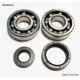 BEARING WORX ŁOŻYSKA WAŁU KORBOWEGO YAMAHA YZ 250 88-97 (NTN) (MADE IN JAPAN) (24-1027)