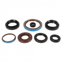 WINDEROSA (VERTEX) KOMPLET (ZESTAW) USZCZELNIACZY SILNIKOWYCH ARCTIC CAT 550 EFI 4X4 12-14, -14, ALTERRA 570 19-20, ALTERRA 570 