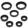 WINDEROSA (VERTEX) KOMPLET (ZESTAW) USZCZELNIACZY SILNIKOWYCH HONDA TRX350FE 00-06, TRX350FM FOURTRAX RANCHER 00-06, TRX350TE 00