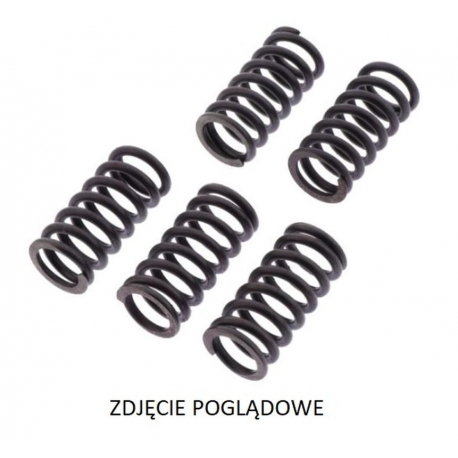 TRW LUCAS ZF SPRĘŻYNY SPRZĘGŁOWE HYOSUNG GT 125 COMET '03-'06, GV 125 AQUILA '00-'08, GV 125M AQUILLA '09-'17, RT 125 '05-'11, S