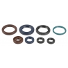 ATHENA KOMPLET (ZESTAW) USZCZELNIACZY SILNIKOWYCH KTM SXF 250 06-12, EXCF 250 05-13