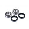 FACTORY LINKS ŁOŻYSKA KOŁA TYLNEGO Z USZCZELNIACZAMI YAMAHA YFM 250 RAPTOR '08-'13, YFM 125 RAPTOR '11-'13, YFM 350 '04-'13 (25-