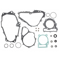 NAMURA KOMPLET USZCZELEK CAN AM (BOMBARDIER) DS 650 (00-07), BMW F 650 '93-'99 (ROTAX)